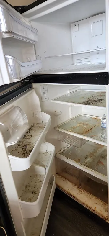 Refrigerator before cleaning